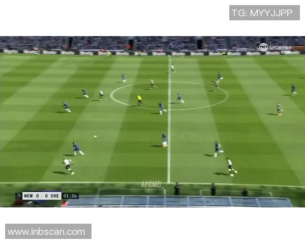 长得像乌龟的足球明星们的独特魅力与球场风采揭秘